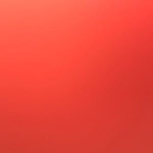 Meet your Posher, Logan